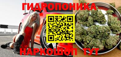 МДМА Новозыбков