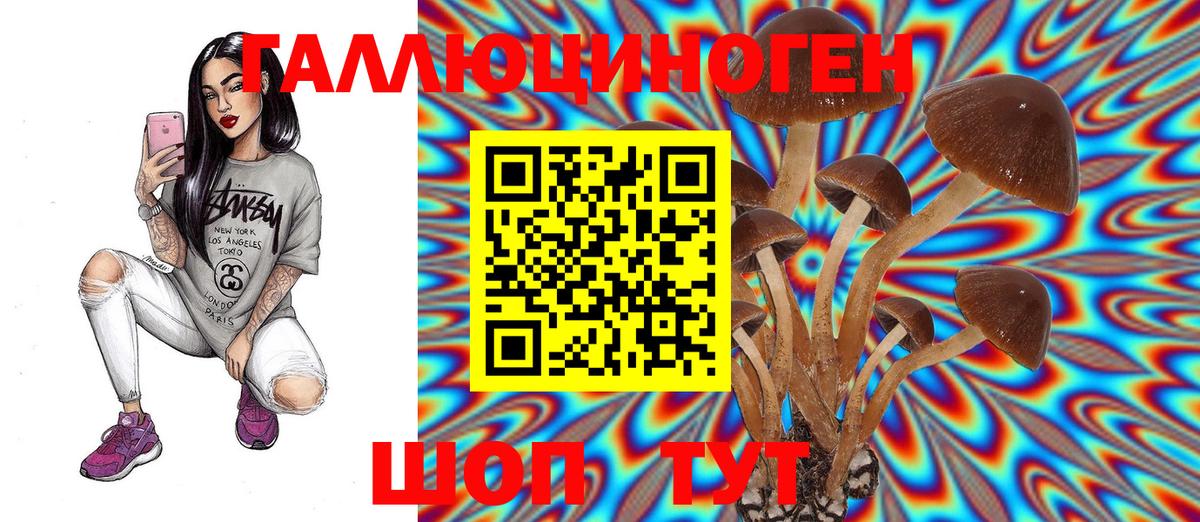 Псилоцибиновые грибы Psilocybine cubensis Фрязино